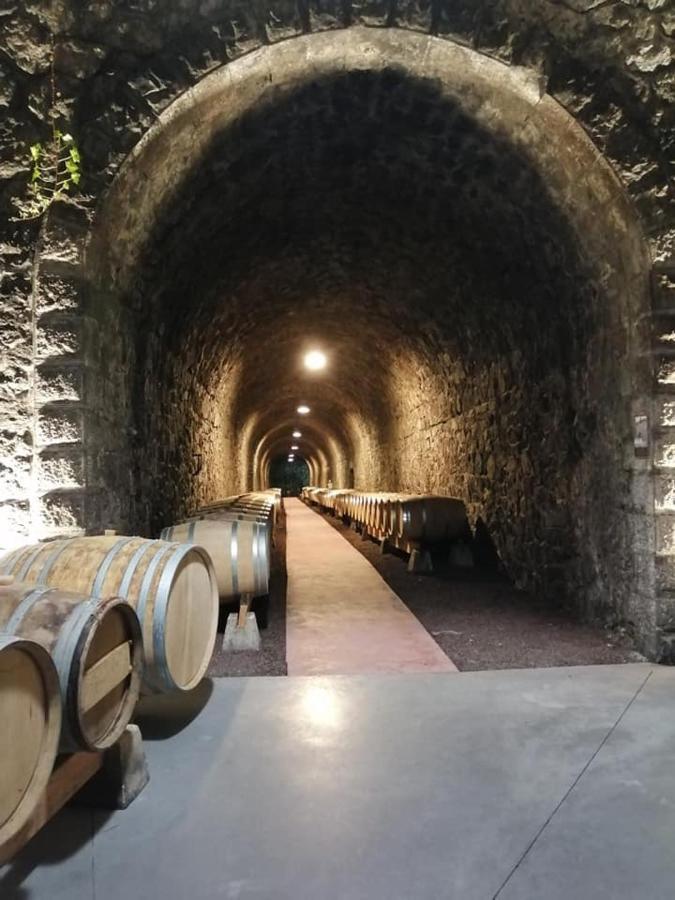 Saint-Péray Les Barras'Kヴィラ エクステリア 写真